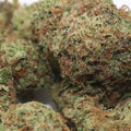Close up of LCG THCa Flower